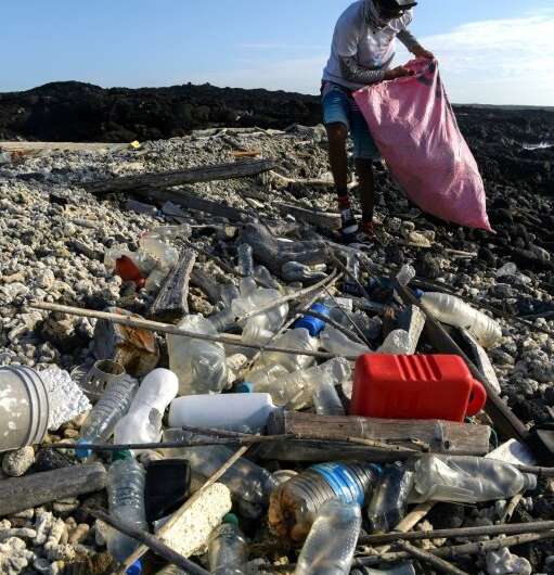 Since the start of the year, eight tons of garbage has been collected by volunteers on the Galapagos Islands