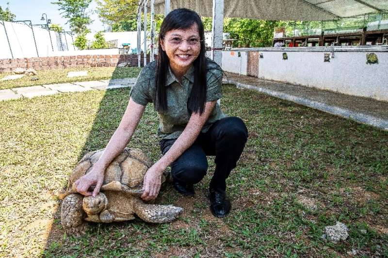 Singapore's Live Turtle and Tortoise Museum owner Connie Tan battled hard to keep the sanctuary going after the original locatio