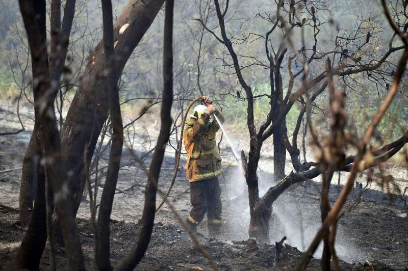 Six people have died and 700 homes destroyed in Australia's bushfires