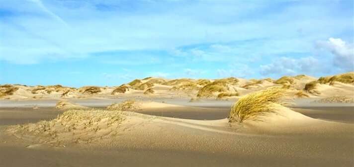 Small steps, big leaps – how marram grass builds dunes