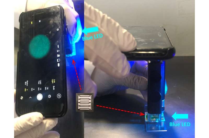Smartphone-based device for detecting norovirus, the 'cruise ship' microbe