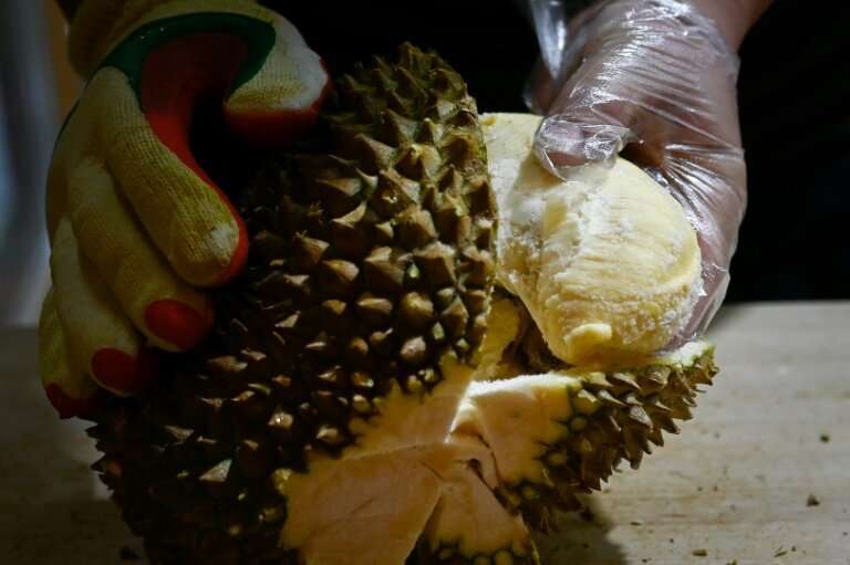 Soaring demand for durians in China is being blamed for a new wave of deforestation in Malaysia with environmentalists warning v
