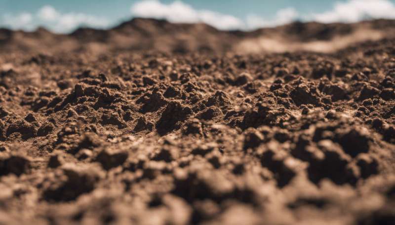 Soil is the key to Earth's history (and future)