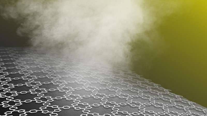Solar steam generators could be made with wood, fabric or sponges