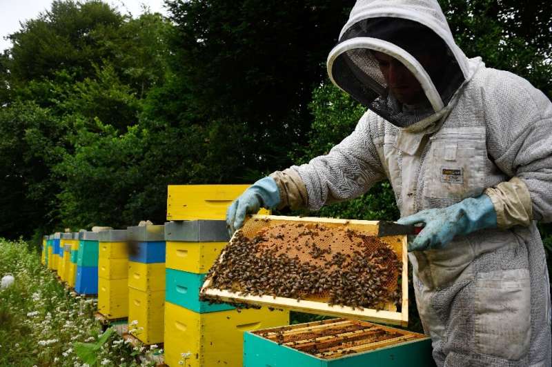 Some apple growers call on professional beekeepers to ensure orchards are pollinated