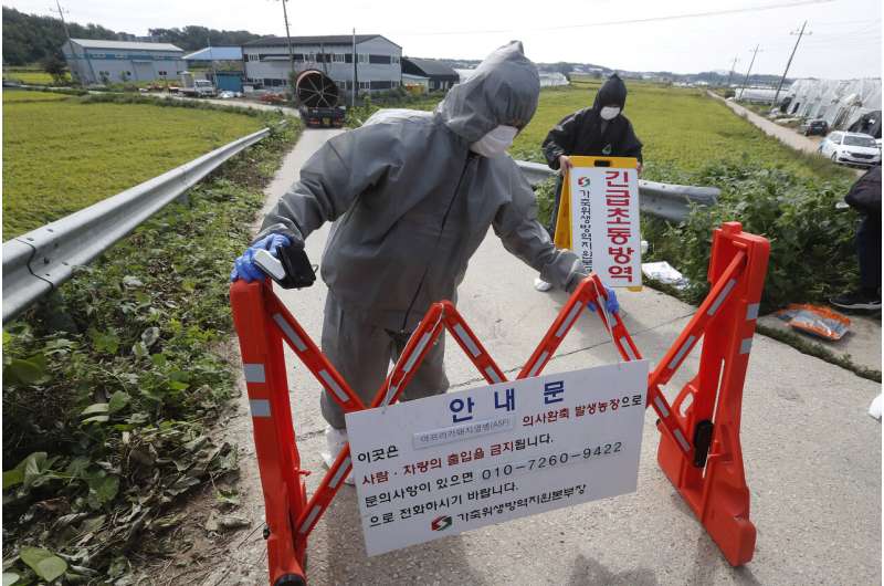 South Korea confirms 2nd case of African swine fever