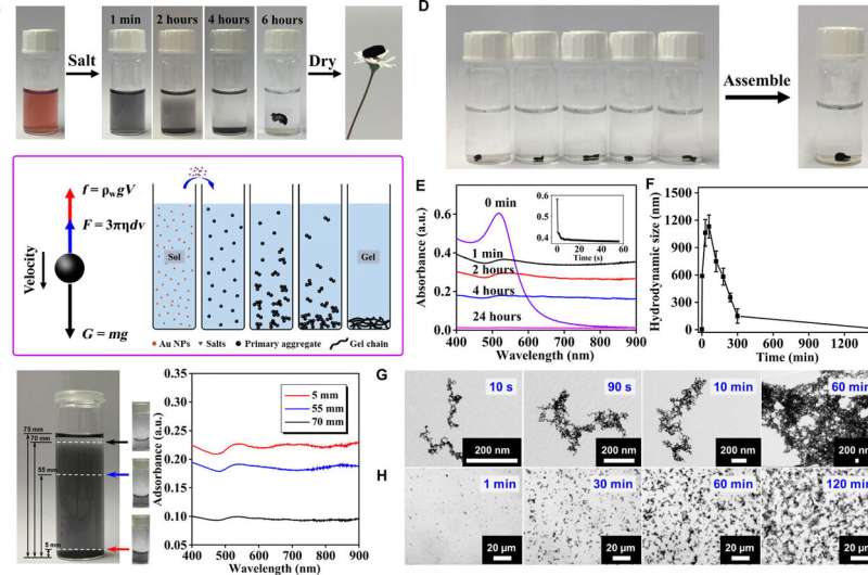 Specific ion effects directed noble metal aerogels