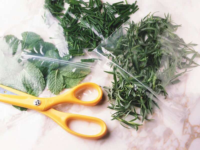 Spice up your cooking with licorice-scented herbs