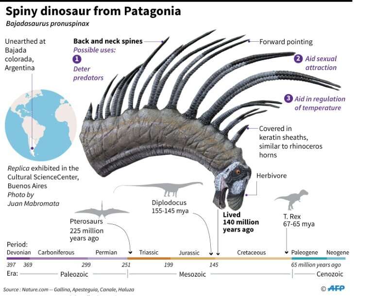 Spiny dinosaur from Patagonia