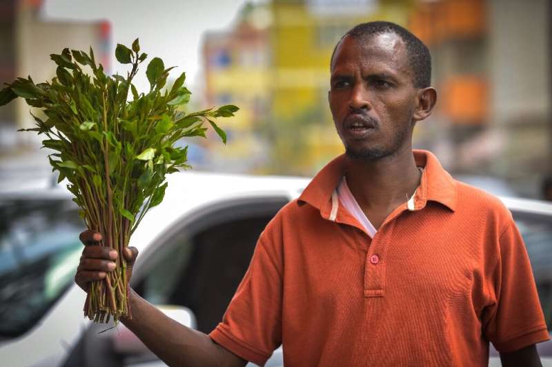 Sporadic campaigns by local civil society groups have failed to result in a ban on khat like those imposed in Britain and the Un