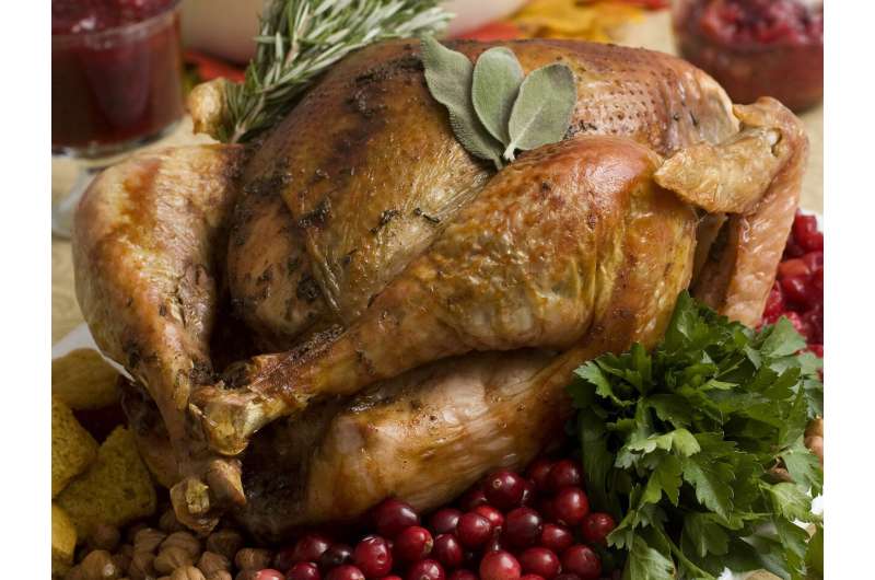 Stop! Washing your Thanksgiving turkey could spread germs