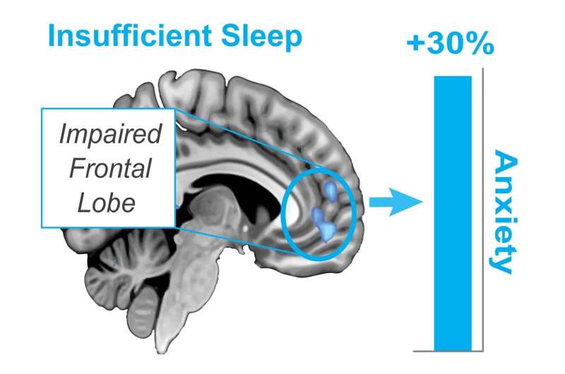 Stressed to the max? Deep sleep can rewire the anxious brain