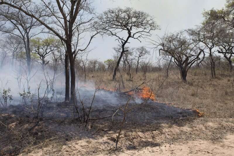 Study finds increased moisture facilitated decline in African fires