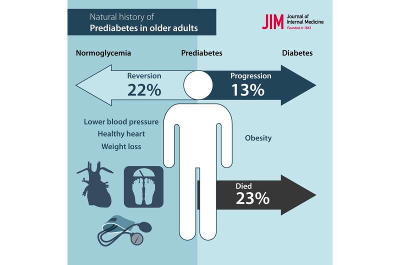 Study follows the health of older adults with prediabetes problems