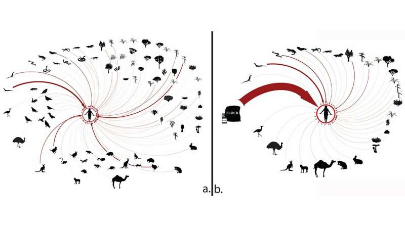 Study of human impact on food webs and ecosystems yields unexpected insights