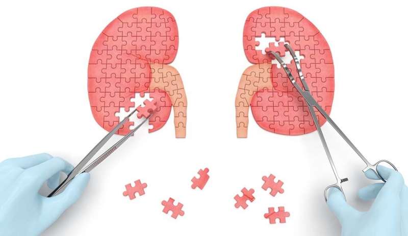 Study reaches multidisciplinary consensus on imaging for kidney stones