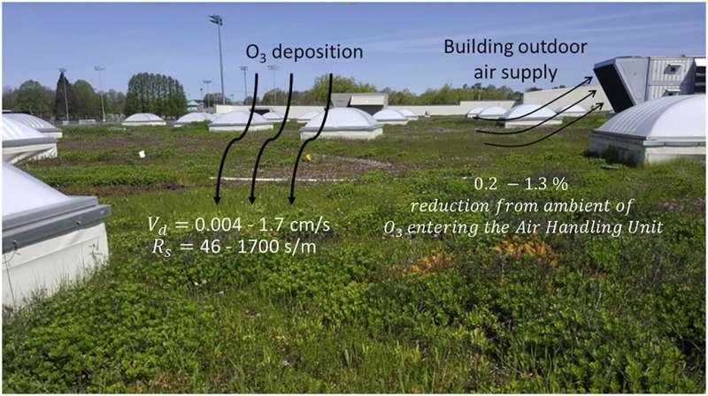 Study shows green roofs could reduce indoor air pollution