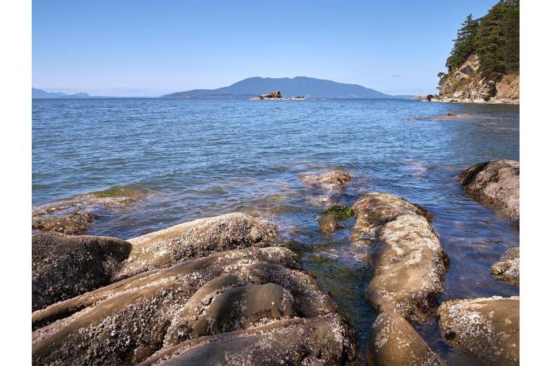 Study tests resilience of the Salish Sea to climate change impacts