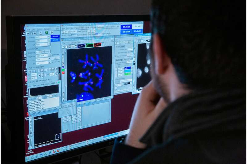 Study unlocks secrets of an elusive genome compartment