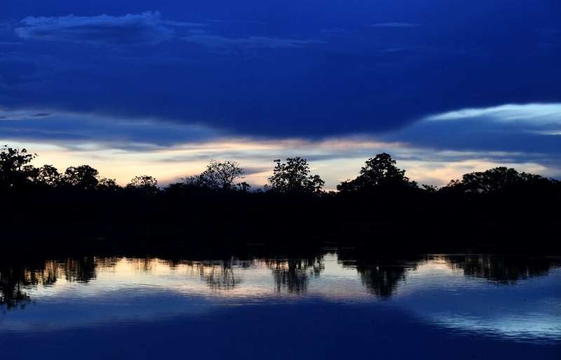 Sunset on the Mamiraua River at the Mamiraua Reserve, Brazil's largest protected area, in Amazonas State: scientists are now eav