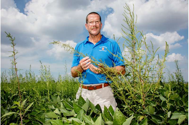Superweed resists another class of herbicides, study finds