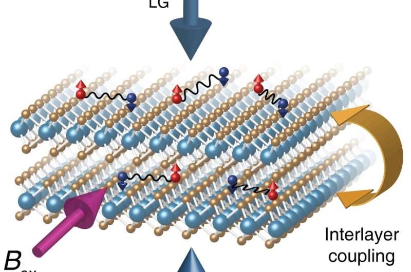 Suspended layers make a special superconductor
