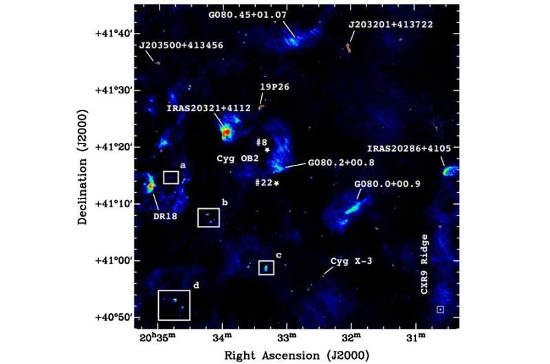 Swan EGGs in the sky: Astronomers conduct radio observations of free-floating evaporating gas globules in Cygnus OB2