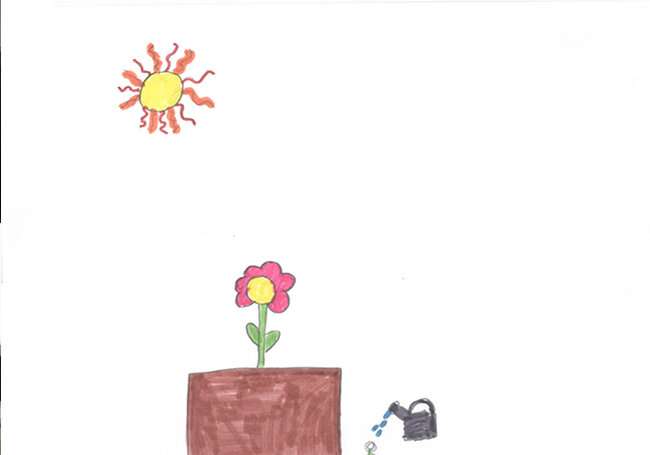 Symmetry, a resource that children spontaneously use to draw the plant world