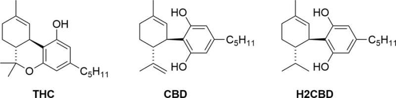 Synthetic version of CBD treats seizures in rats