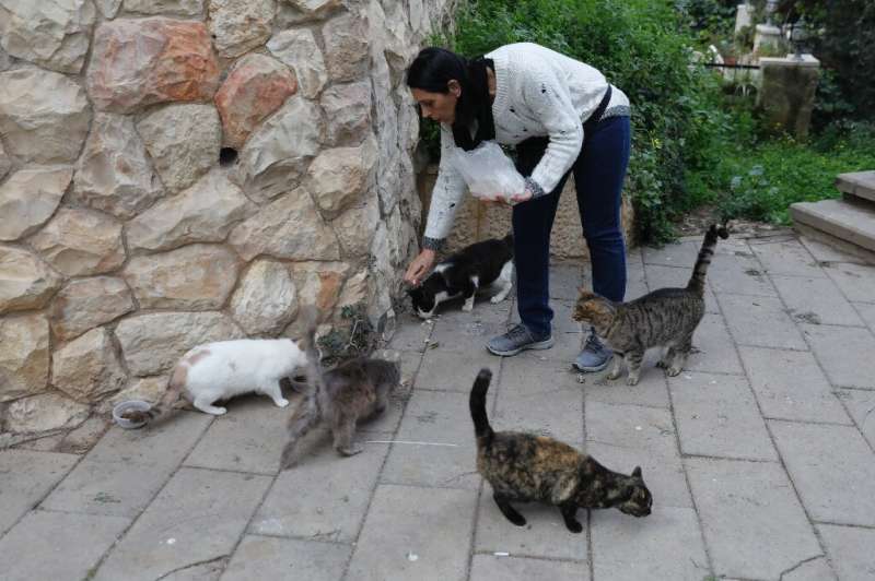Teacher Ilana Ben Joya feeds dozens of cats twice a day