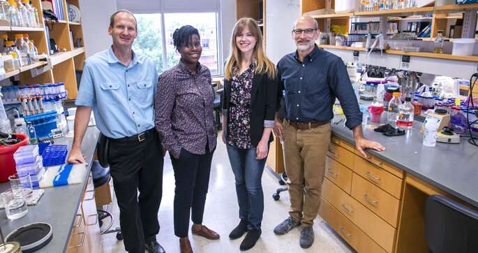 Team’s study reveals details of new DNA repair pathway