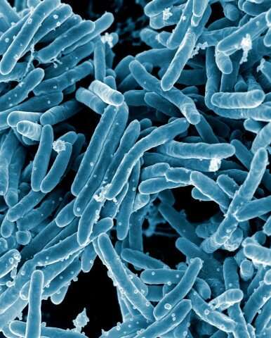 Temperature-stable experimental tuberculosis vaccine enters clinical testing