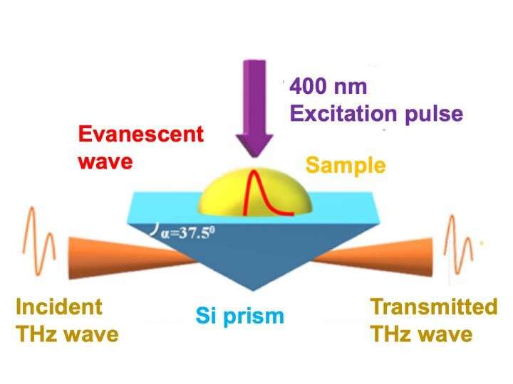 Terahertz waves reveal hidden processes in ultrafast artificial photosynthesis