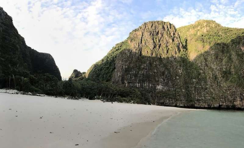 Thai authorities distributed pictures six months after Maya Bay's closure showing a vast improvement to the ecology
