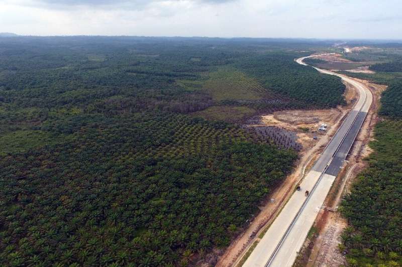 The area around Samboja, Kutai Kartanegara, is  one of two locations in Eastern Kalimantan chosen as a possible site for the new