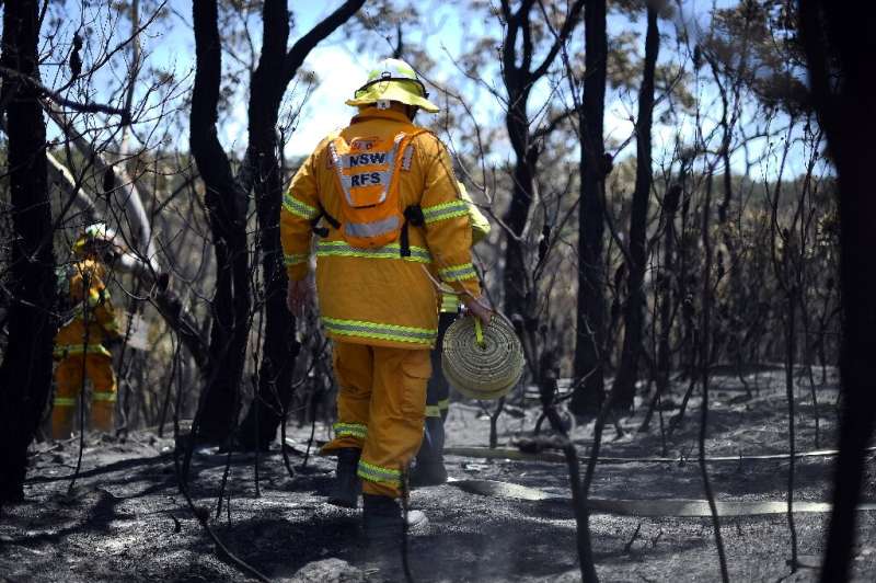 The Blue Mountains  have already been hit by bushfires