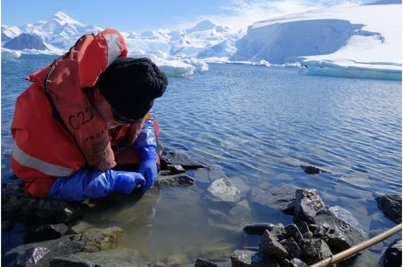The complex fate of Antarctic species in the face of a changing climate