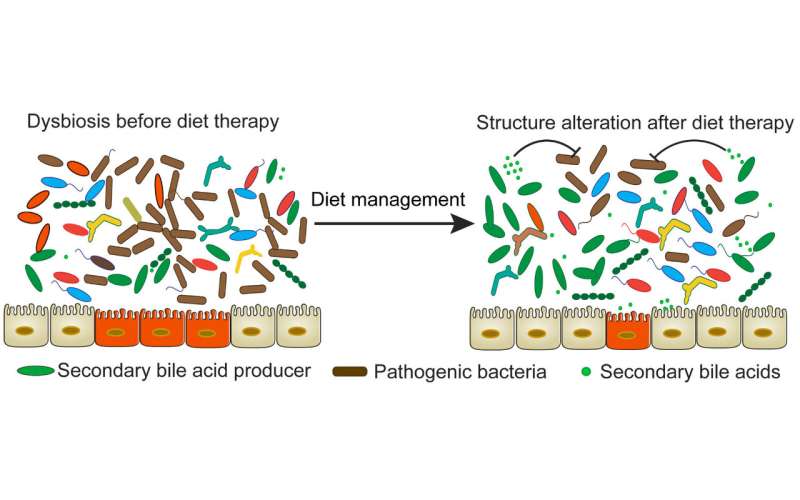 The diet-microbiome connection in inflammatory bowel disease