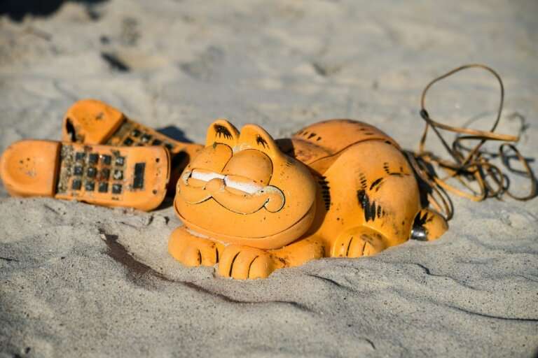 The dry-witted and prickly cat &quot;Garfield&quot; was first created by Jim Davis as a comic strip in the late 1970s, before be