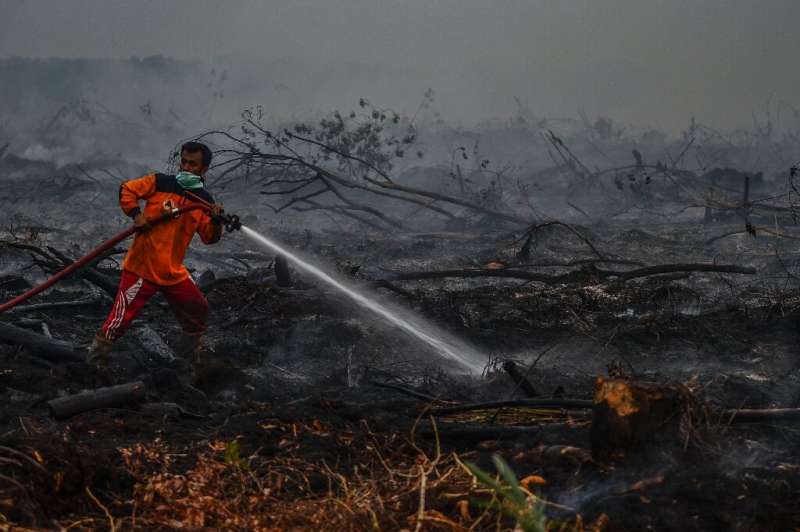 The fires are causing toxic smoke which is spreading across Southeast Asia