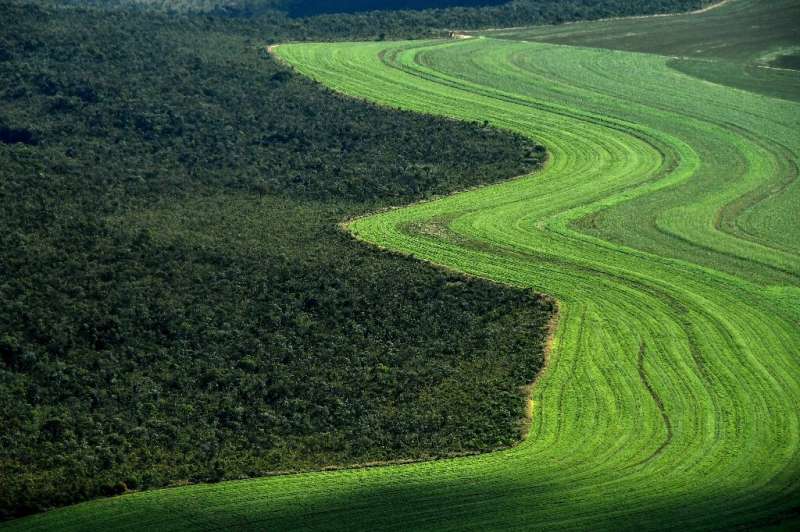 The IPCC special report on land use is expected to warn how industrialised food chains, rampant resource exploitation, and even 