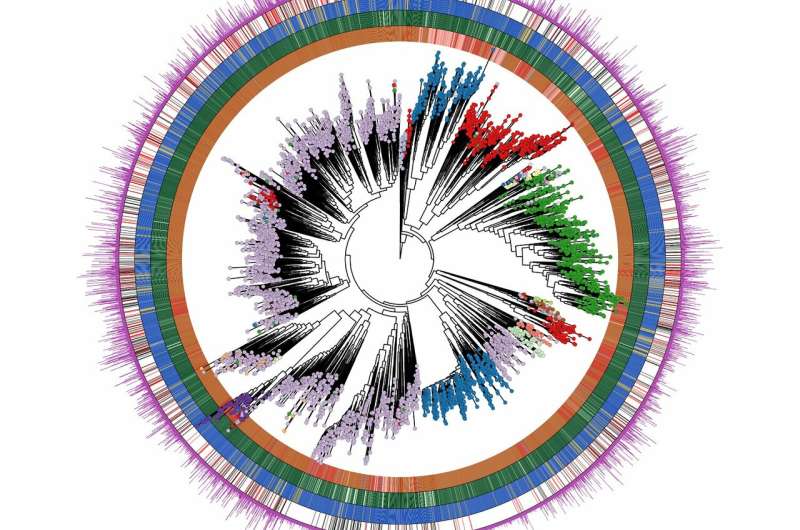 The largest ever catalog of bacteria in the human body contain over 150 thousands genomes
