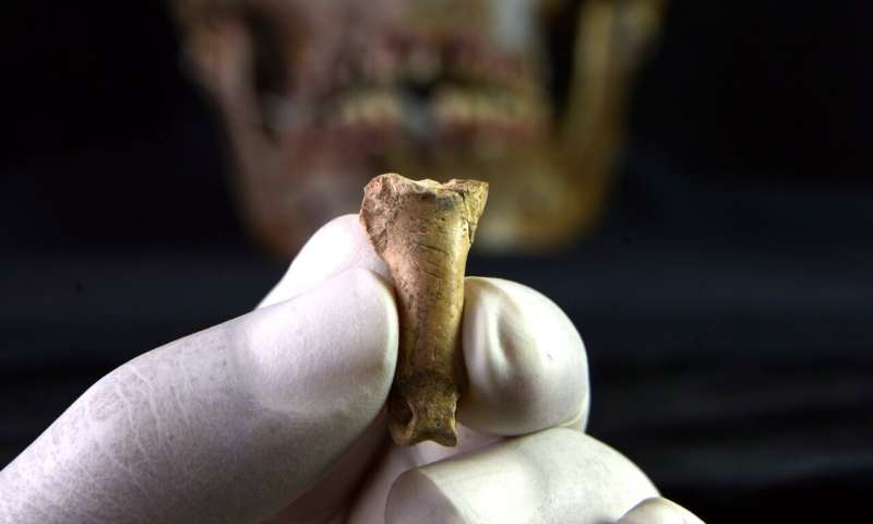 The last Neanderthal necklace