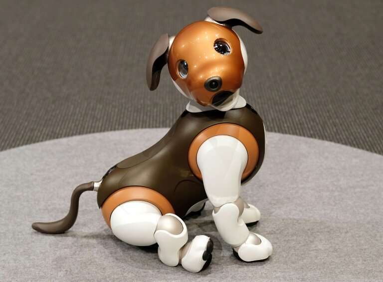 The latest aibo model, which can also display &quot;emotions&quot;, was released in January last year and sales hit 20,000 in th