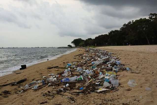 The ocean garbage patch is tiny compared to our carbon footprint