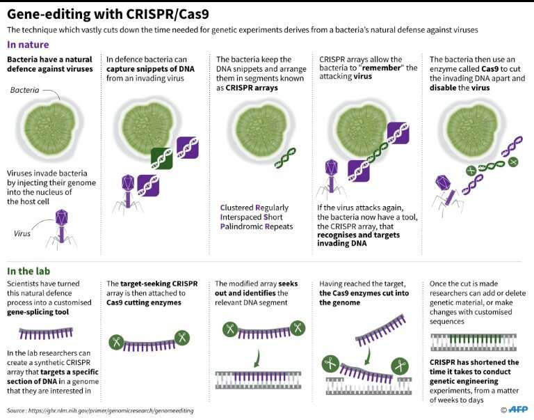 The origins of the CRISPR genome editing technique