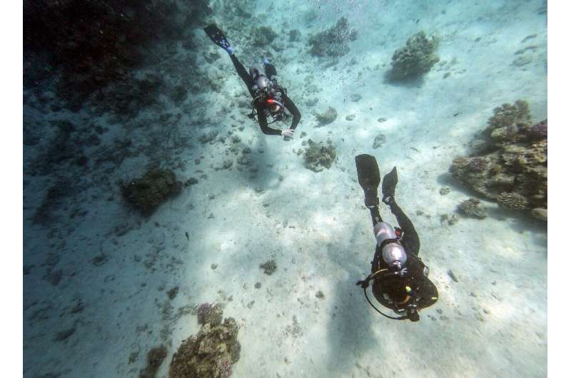 The rebound in tourism could put further pressure on Egypt's corals, according to local experts