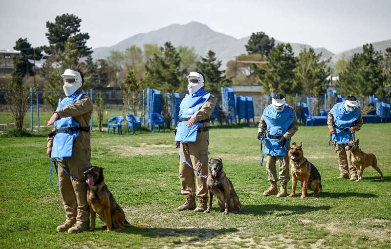 These dogs are being trained for a life-or-death mission: finding explosives in a country where hidden mines, bombs and weapons 