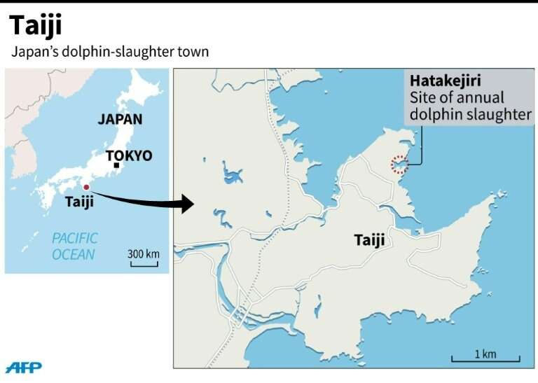 The town of Taiji in Japan where a three-year dolphin 'drive hunting' permit was granted