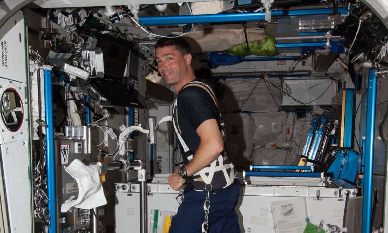 The ways astronauts prep for spaceflight could benefit cancer patients, say researchers